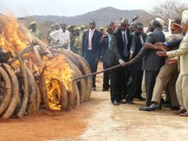 Kibaki_Ivory_Burning_Kenya
